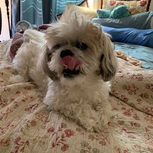 Meet your Posher, Dianna